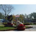 天津市河?xùn)|區(qū)第二幼兒園