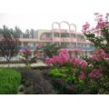 棗莊市中興小學(xué)