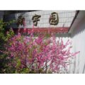 南京市考棚小學(xué)
