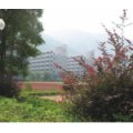 肇慶市外國語實(shí)驗學(xué)校（小學(xué)部）