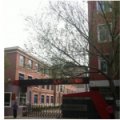 沈陽(yáng)市四經(jīng)街第一小學(xué)（四經(jīng)街一?。?>
						<div   id=