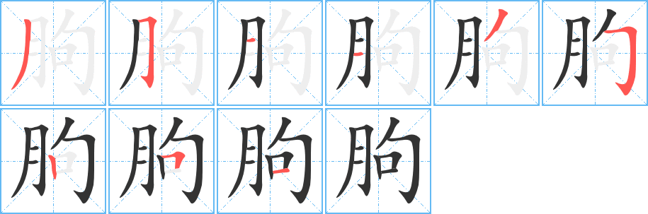 朐字筆畫(huà)寫(xiě)法