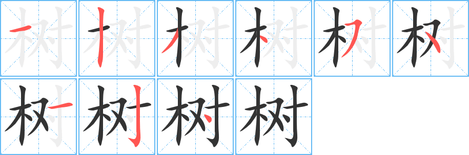 樹字筆畫寫法