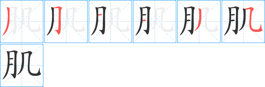 肌字筆畫(huà)寫(xiě)法