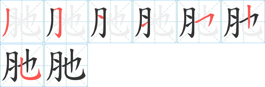 肔字筆畫(huà)寫(xiě)法