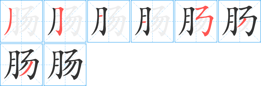 腸字筆畫(huà)寫(xiě)法