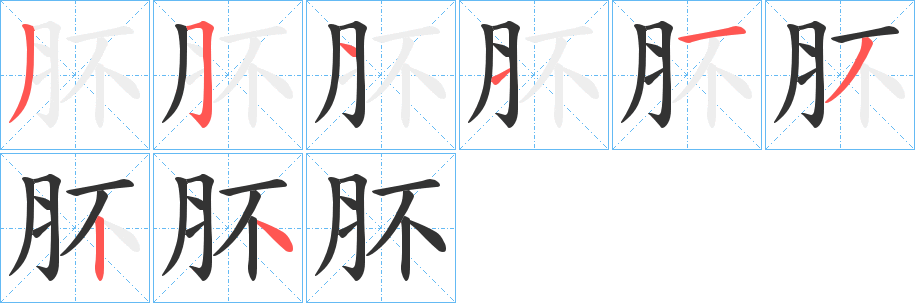 肧字筆畫寫法