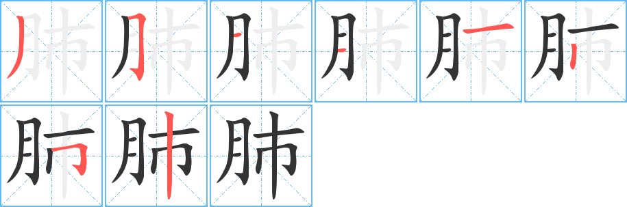肺字筆畫寫法
