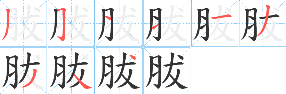 胈字筆畫寫法