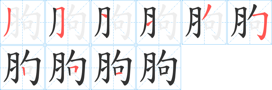 胊字筆畫寫法