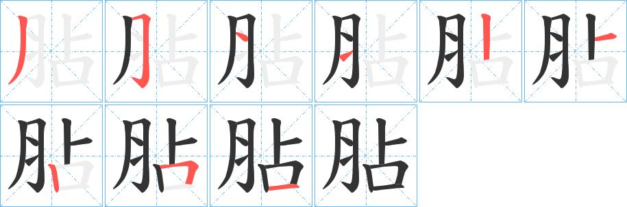 胋字筆畫(huà)寫(xiě)法