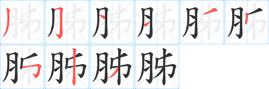 胏字筆畫(huà)寫(xiě)法