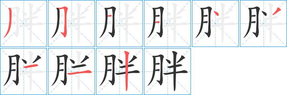胖字筆畫(huà)寫(xiě)法