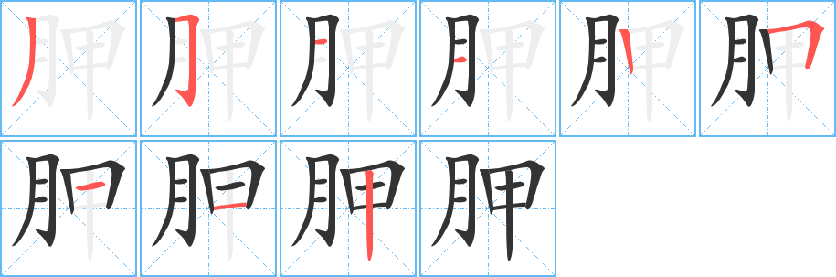 胛字筆畫寫法