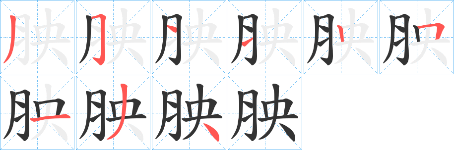 胦字筆畫(huà)寫(xiě)法
