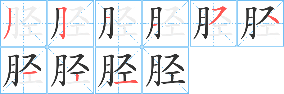 脛字筆畫寫法