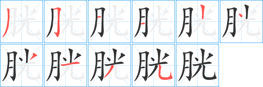 胱字筆畫(huà)寫法
