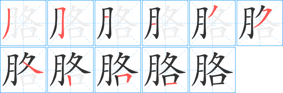 胳字筆畫(huà)寫(xiě)法