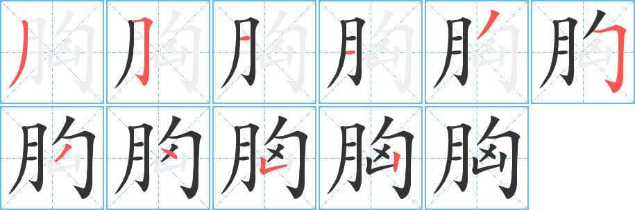 胸字筆畫寫法