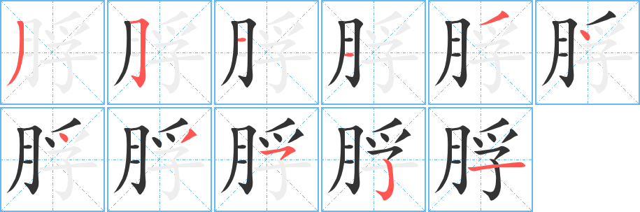 脬字筆畫(huà)寫(xiě)法