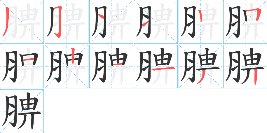 腗字筆畫(huà)寫(xiě)法