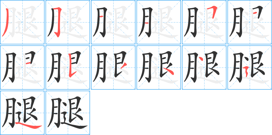 腿字筆畫寫法