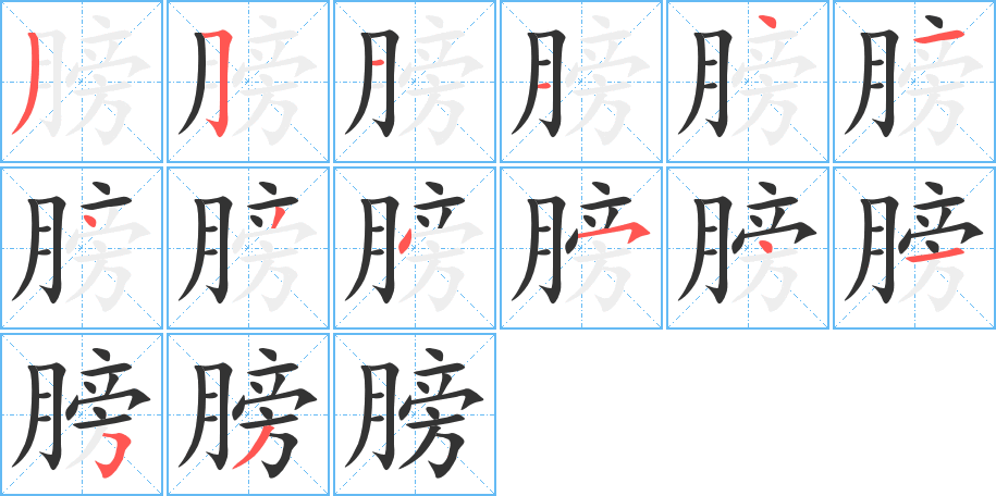 膀字筆畫寫法