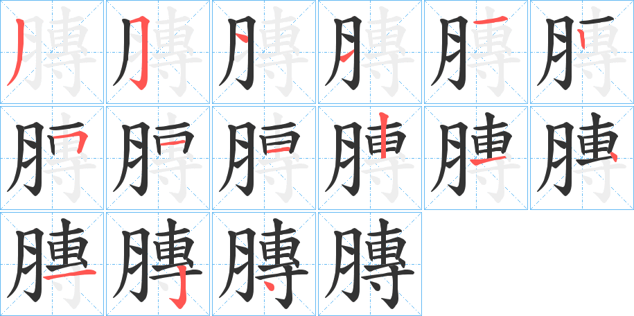膞字筆畫(huà)寫(xiě)法