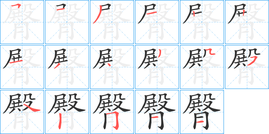 臀字筆畫(huà)寫(xiě)法