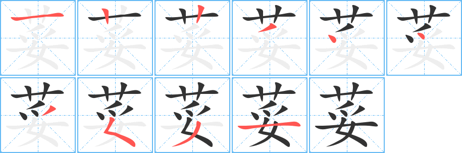 荽字筆畫(huà)寫(xiě)法