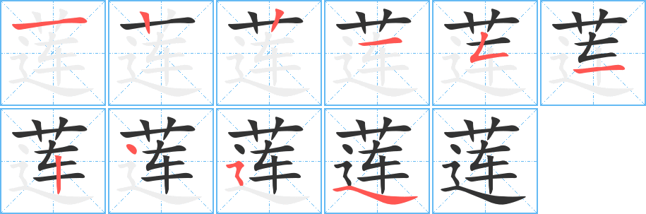 蓮字筆畫寫法