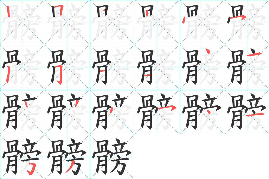 髈字筆畫(huà)寫(xiě)法
