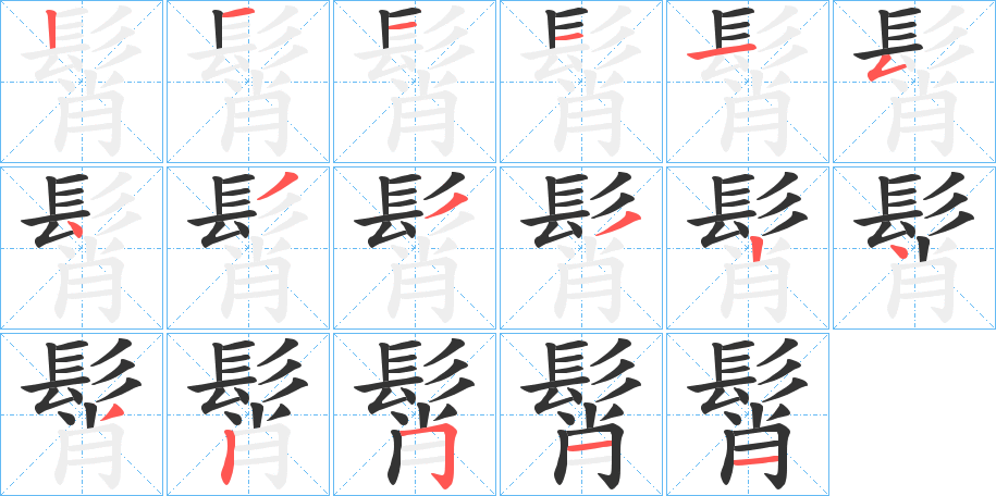 髾字筆畫(huà)寫(xiě)法