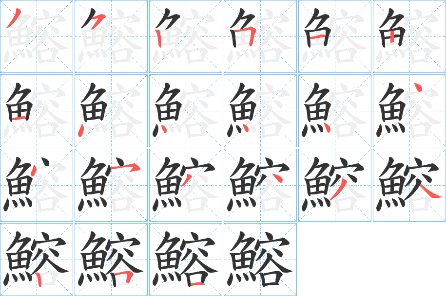 鰫字筆畫(huà)寫(xiě)法