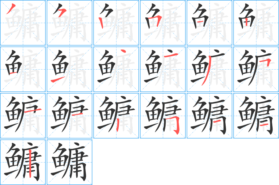 鳙字筆畫(huà)寫(xiě)法