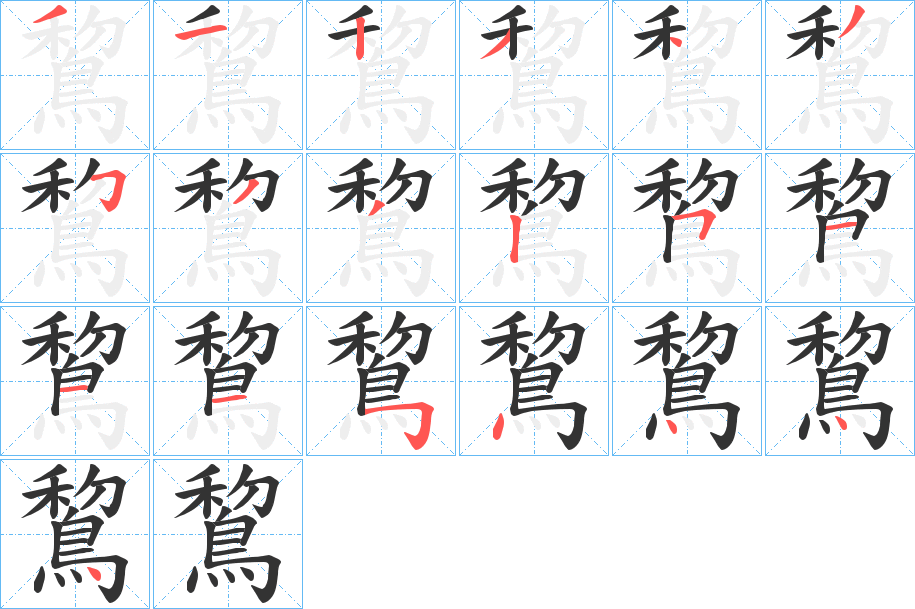鵹字筆畫(huà)寫(xiě)法