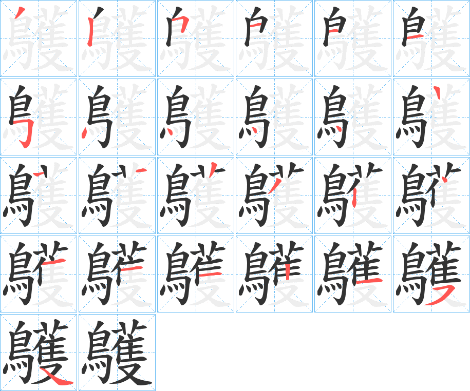 鸌字筆畫(huà)寫(xiě)法