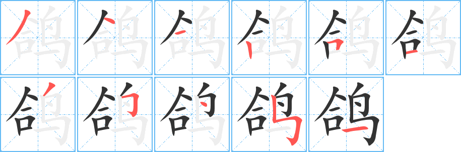 鴿字筆畫寫法