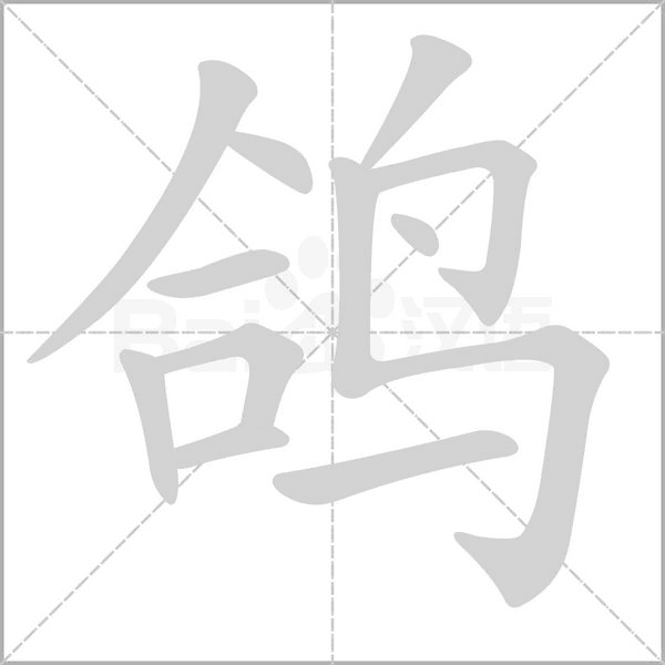 鴿
