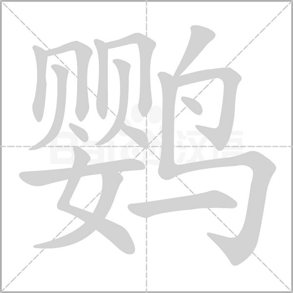 鸚