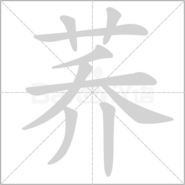 蕎