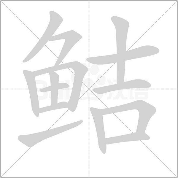 鮚