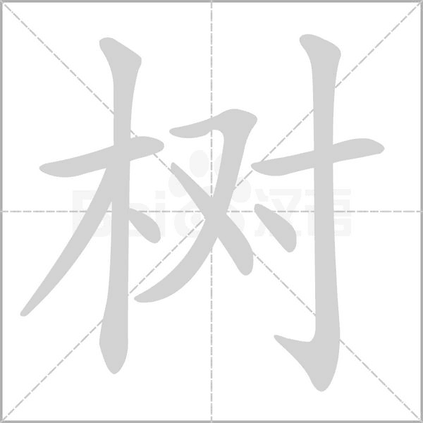 樹