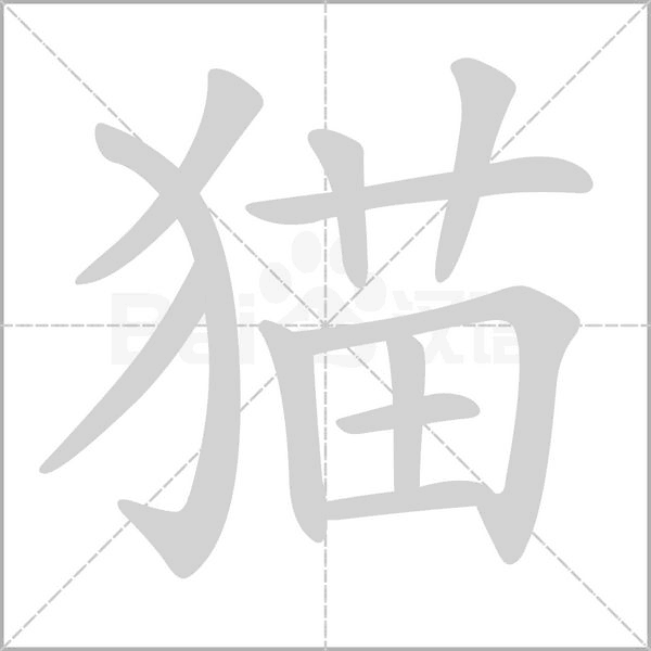 貓