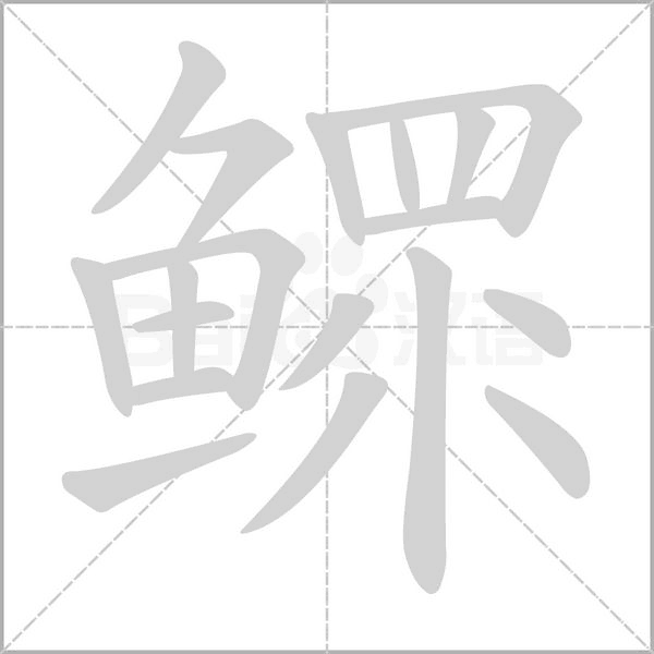 鰥