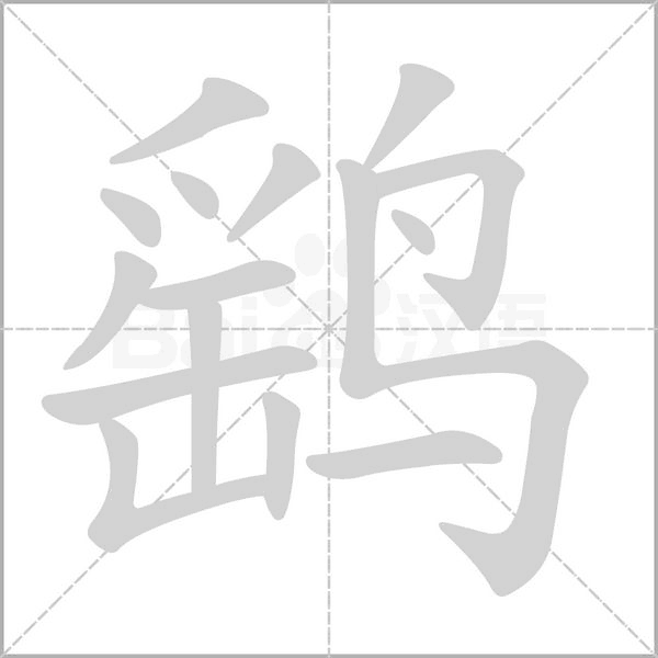 鷂
