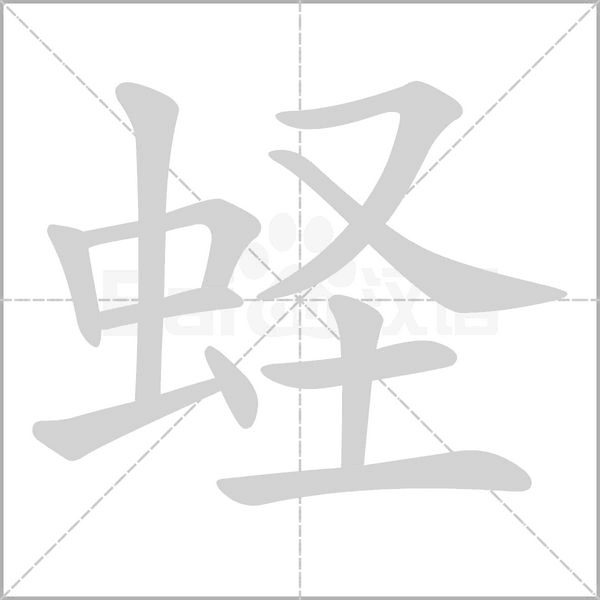 蟶