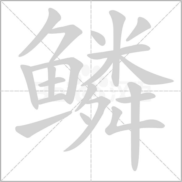 鱗