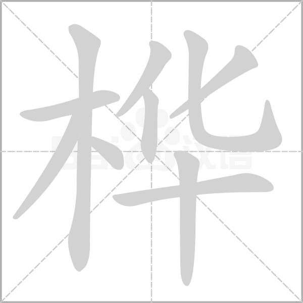 樺