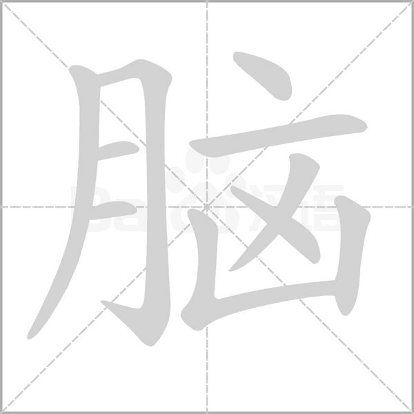 腦